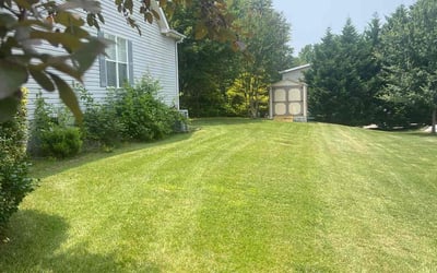Photo of Emma W.'s yard after getting lawn care in Baltimore, MD