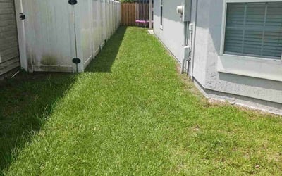 Photo of Laura F.'s yard after getting lawn care in Wells, ME