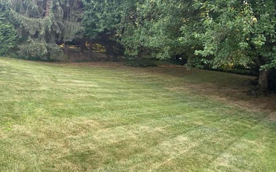Photo of Velda C.'s yard after getting lawn care in Princeton, NJ