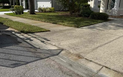 Photo of Todd R.'s yard after getting lawn care in Englewood, FL