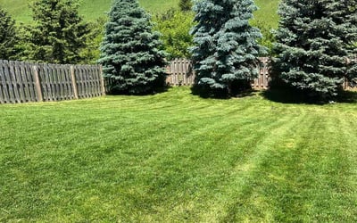 Photo of Jane S.'s yard after getting lawn care in Elkhorn, NE