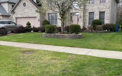 Photo of Charlotte H.'s yard after getting lawn care in Addison, IL