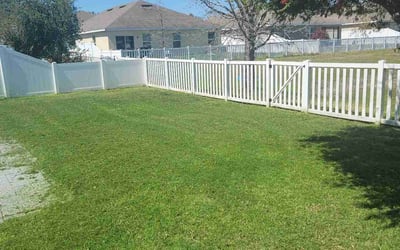 Photo of Paula W.'s yard after getting lawn care in Zephyrhills, FL
