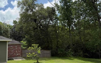 Photo of Laqueisha G.'s yard after getting lawn care in Baton Rouge, LA