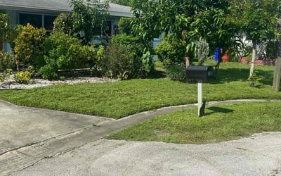 Photo of Jeffrey R.'s yard after getting lawn care in Central Point, OR