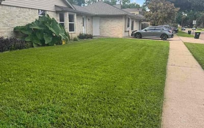 Photo of Ann K.'s yard after getting lawn care in Middle River, MD