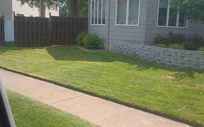 Photo of Cindy B.'s yard after getting lawn care in Collingswood, NJ