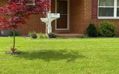 Photo of Bridget A.'s yard after getting lawn care in Louisville, KY