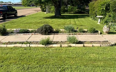 Photo of Patricia W.'s yard after getting lawn care in Bethlehem, PA