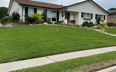 Photo of Terry W.'s yard after getting lawn care in Grand Prairie, TX