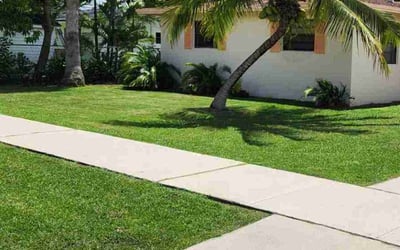 Photo of Steven H.'s yard after getting lawn care in Pasadena, TX