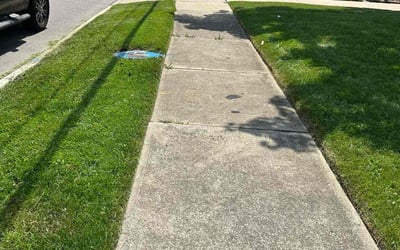 Photo of Maritza V.'s yard after getting lawn care in Fairview Park, OH
