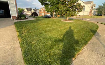 Photo of Melissa D.'s yard after getting lawn care in Tewksbury, MA