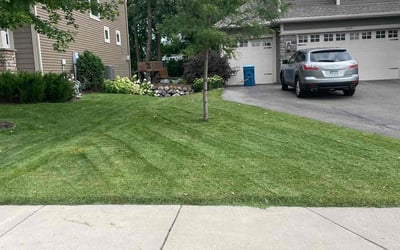 Photo of Carole E.'s yard after getting lawn care in Ham Lake, MN