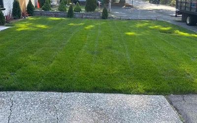 Photo of Martin J.'s yard after getting lawn care in Bothell West, WA