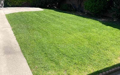 Photo of Carrie B.'s yard after getting lawn care in Malibu, CA