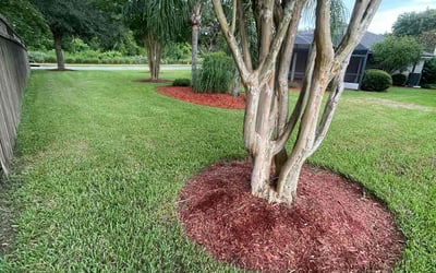Photo of Sherry J.'s yard after getting lawn care in Owasso, OK
