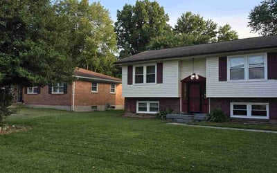 Photo of Angelique R.'s yard after getting lawn care in Louisville, KY