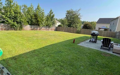 Photo of Jade B.'s yard after getting lawn care in Monroe, NC
