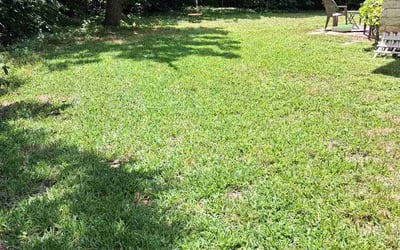 Photo of Ashik A.'s yard after getting lawn care in Hillsboro, OR
