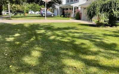 Photo of Blair C.'s yard after getting lawn care in Lowell, MI