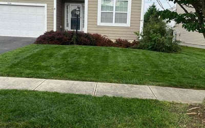 Photo of Debra T.'s yard after getting lawn care in Chester, VA