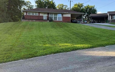Photo of Dennis M.'s yard after getting lawn care in Germantown, MD
