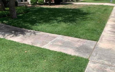 Photo of Tencianah J.'s yard after getting lawn care in Natalia, TX