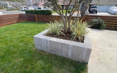 Photo of Michele M.'s yard after getting lawn care in Lake Forest, CA