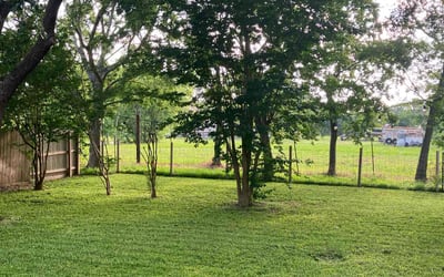 Photo of Caitlin L.'s yard after getting lawn care in Henderson, TX