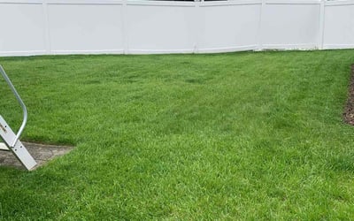 Photo of Fatima Z.'s yard after getting lawn care in Deptford, NJ