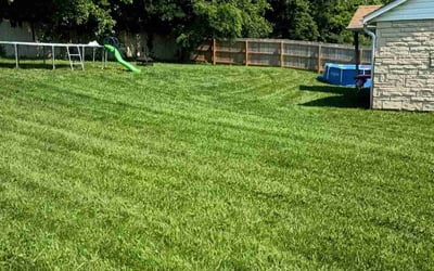 Photo of Beatrice A.'s yard after getting lawn care in Sardinia, OH