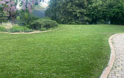 Photo of Terrance D.'s yard after getting lawn care in Massillon, OH