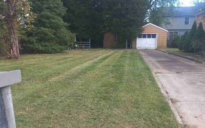 Photo of Isabella E.'s yard after getting lawn care in Princeton, NJ