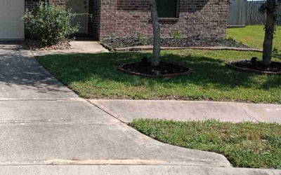 Photo of Natasha M.'s yard after getting lawn care in Channelview, TX