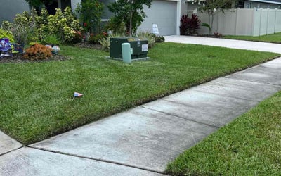 Photo of Bryan T.'s yard after getting lawn care in Myrtle Beach, SC