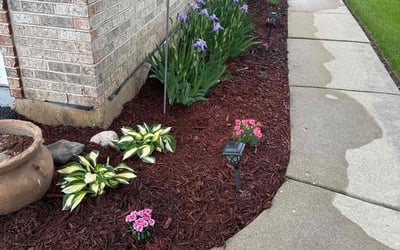 Photo of Rob W.'s yard after getting lawn care in Holyoke, MA