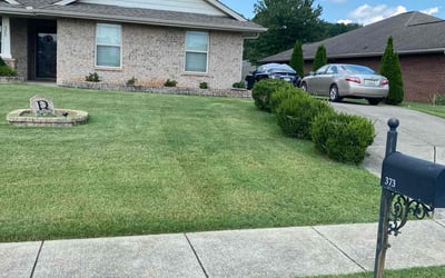 Photo of Briana I.'s yard after getting lawn care in Northport, AL