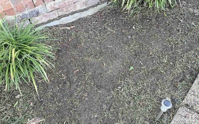 Photo of Brent O.'s yard after getting lawn care in North Port, FL