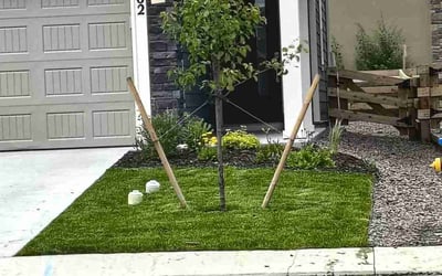 Photo of Tanner M.'s yard after getting lawn care in Jenks, OK