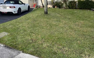 Photo of Austin M.'s yard after getting lawn care in Pompano Beach, FL