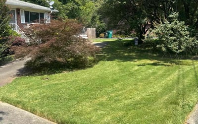 Photo of Ashley C.'s yard after getting lawn care in Joplin, MO
