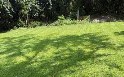 Photo of Haley K.'s yard after getting lawn care in Freeport, TX