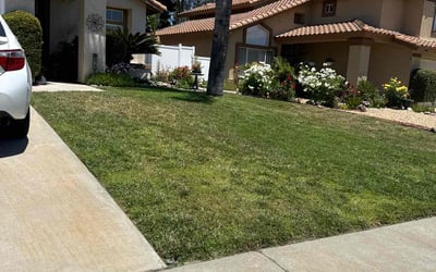 Photo of Abdullah Q.'s yard after getting lawn care in Murrieta, CA