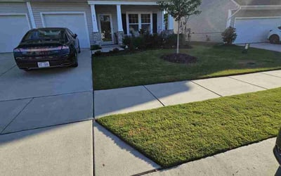 Photo of Kavesa R.'s yard after getting lawn care in Lawrenceville, GA