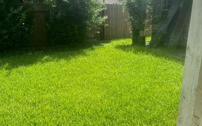 Photo of Connor T.'s yard after getting lawn care in Edgewater, FL