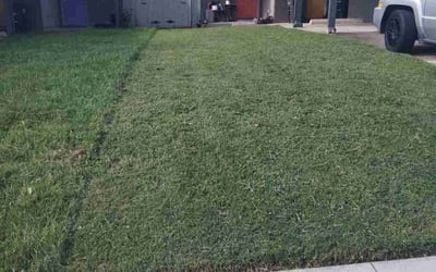 Photo of Sean B.'s yard after getting lawn care in Carnegie, PA