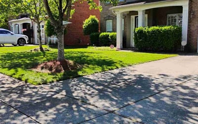 Photo of Zaid A.'s yard after getting lawn care in Charlotte, NC
