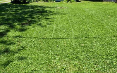 Photo of Craig C.'s yard after getting lawn care in Grafton, OH