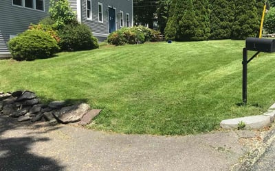 Photo of Tim R.'s yard after getting lawn care in Framingham, MA